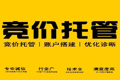 竞价托管的运营技巧：成功企业的实战经验